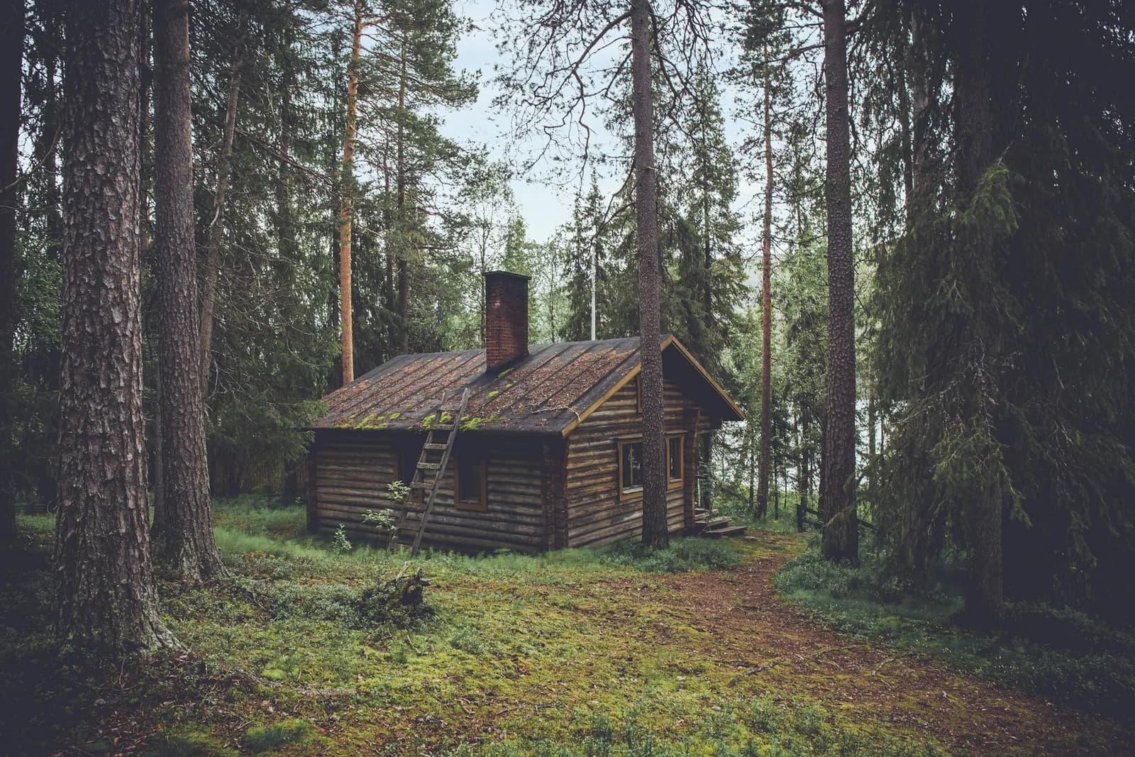 Holzhütte im Wald bei Tageslicht